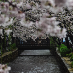 仮想通貨　大暴落